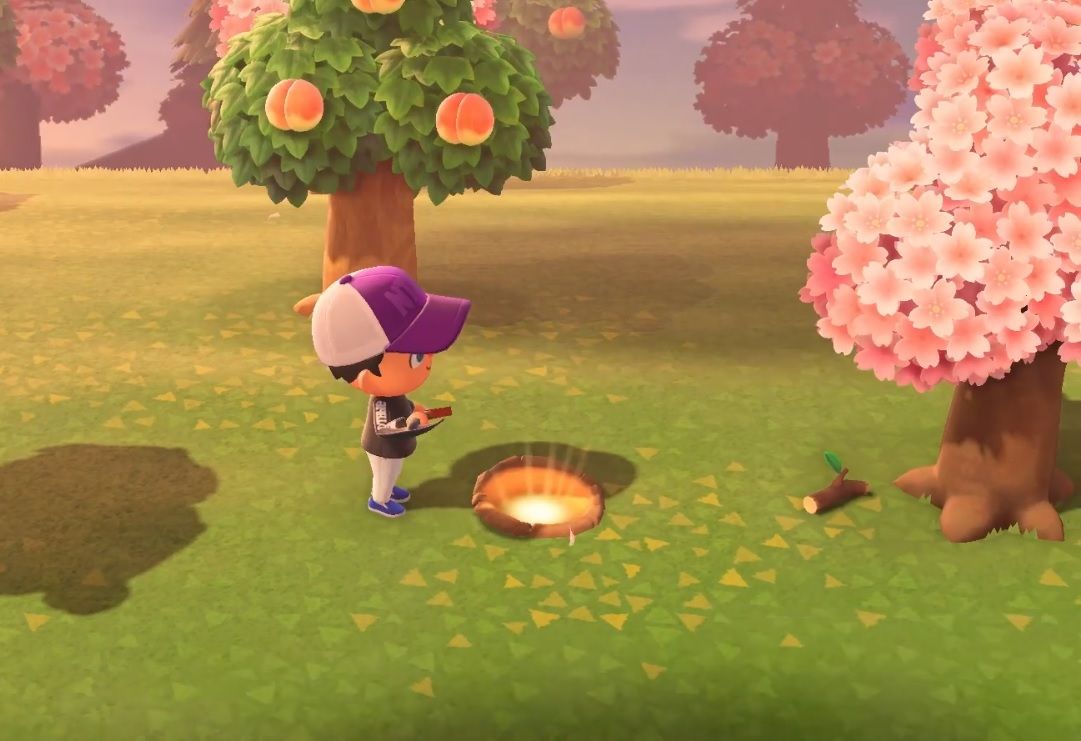 Is There A Limit On Money Trees Animal Crossing : Money Tree Animal