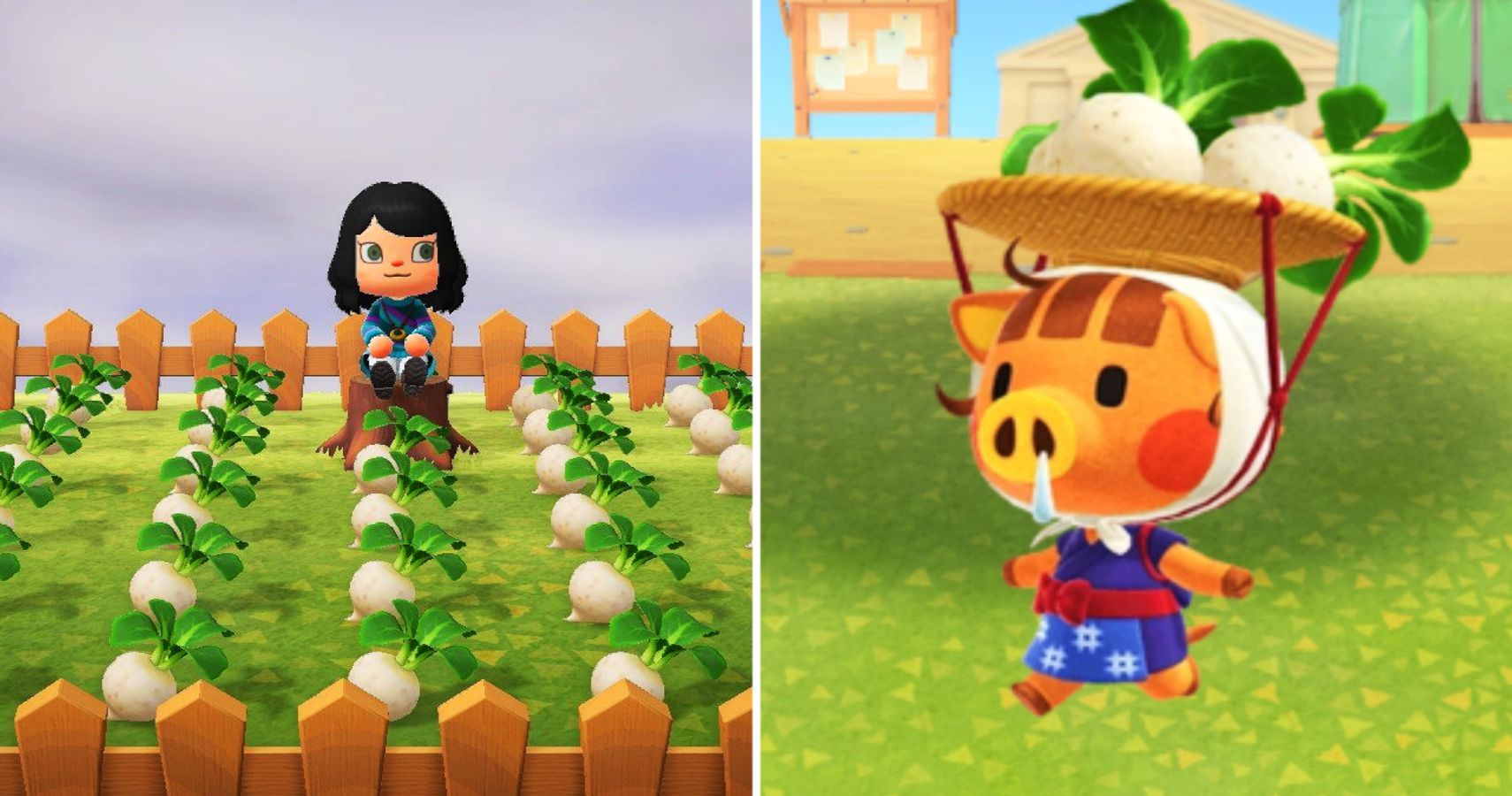 Can You Go Back In Time To Buy Turnips Animal Crossing Animal Crossing 10 Things Most Players Don T Know About Turnips