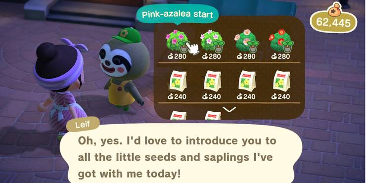 Animal Crossing New Horizons Every Type Of Shrub And Can You Breed Them