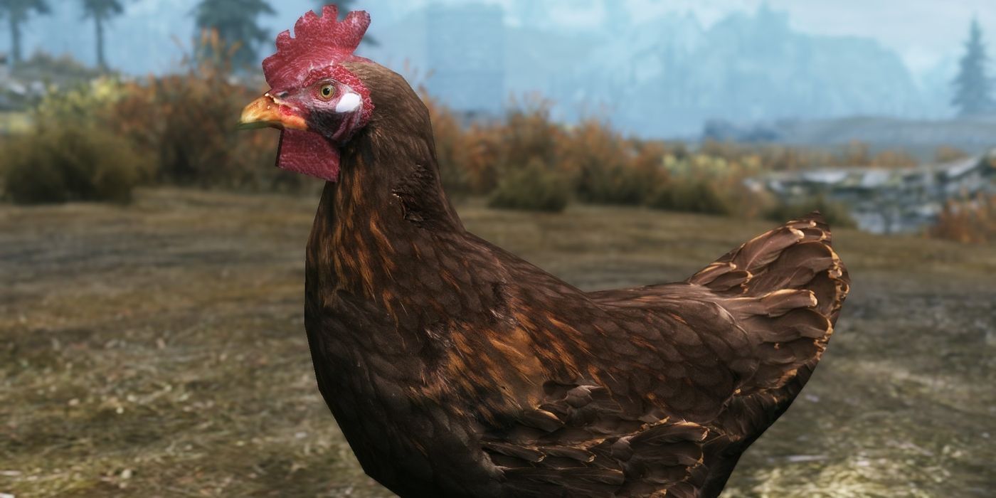 killing a chicken in skyrim