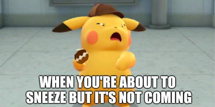 Pokemon 10 Adorable Pikachu Memes That Leave Us Cry Laughing