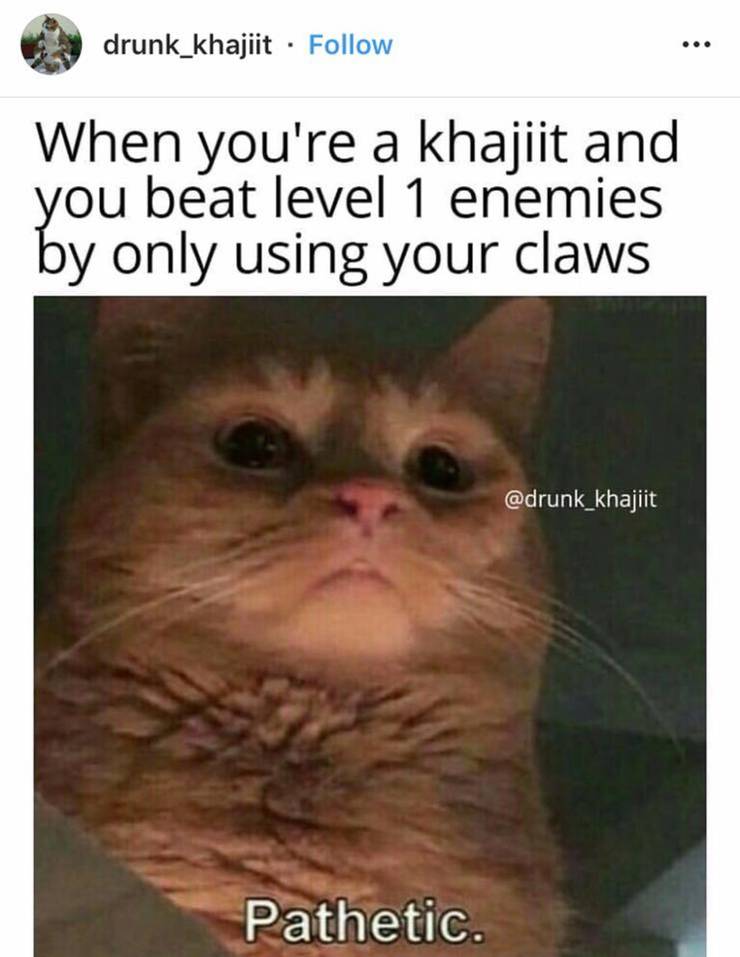 Elder Scrolls 10 Khajiit Memes That Are Hilarious If You Have Coin