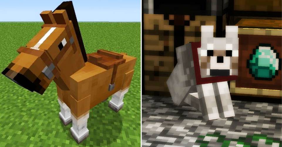 Minecraft The Best Animals To Tame How To Tame Them Minecraft The Best Animals To Tame How To Tame Them