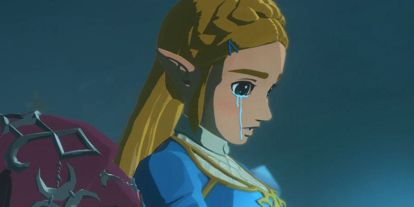 Link the Legend of Zelda Age of Calamity Breath of the Wild -  Sweden