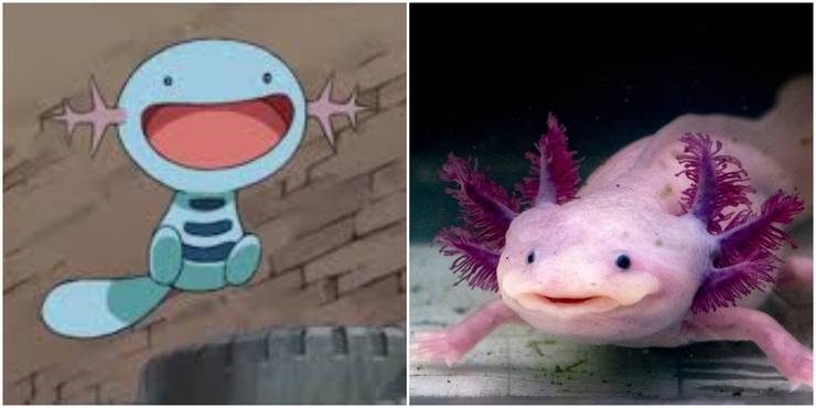 10 Pokemon You Didn T Know Were Inspired By Real Life Animals