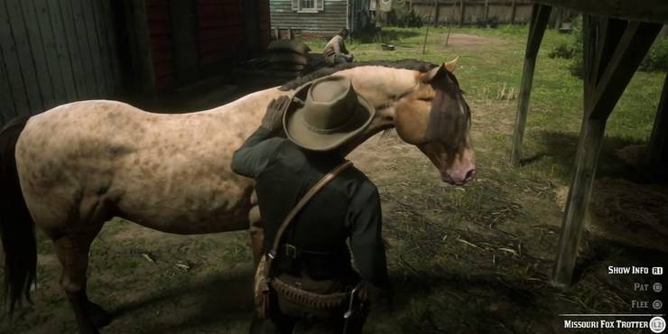 Rdr2 Online Best Horse