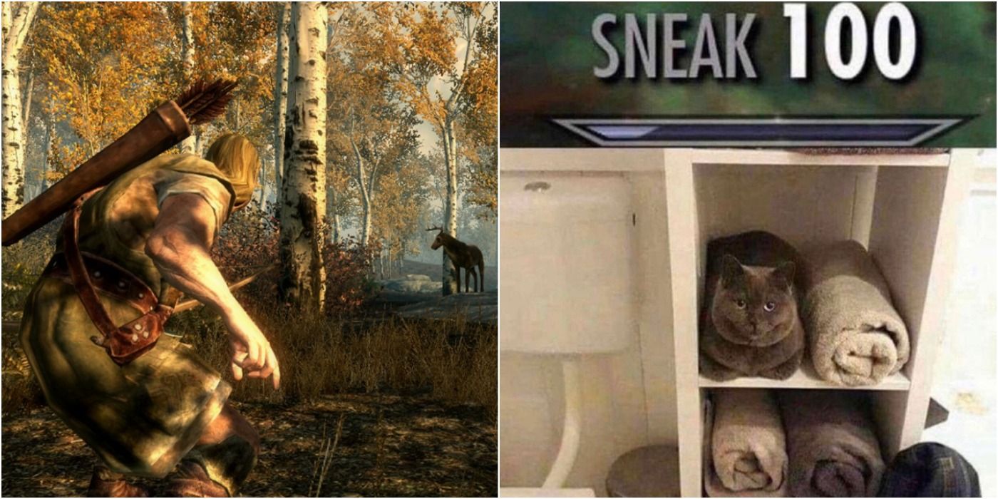 Skyrim: 10 Hilarious Memes About Sneaking & Stealth | Game Rant