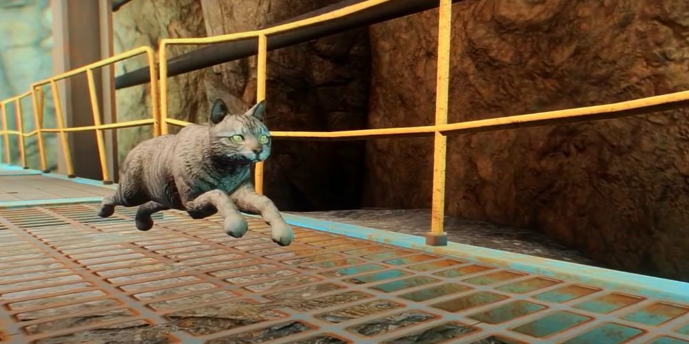 fallout 4 ashes the cat