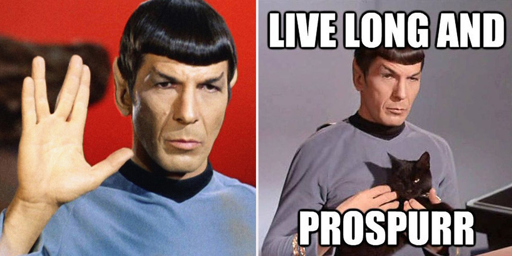 10 Spock Memes Only True Star Trek Fans Will Understand