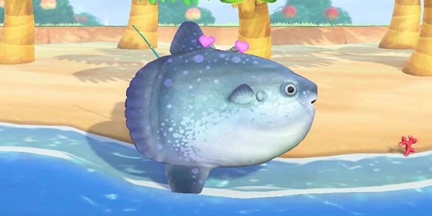 Animal Crossing: New Horizons - Every New Fish for January 2021