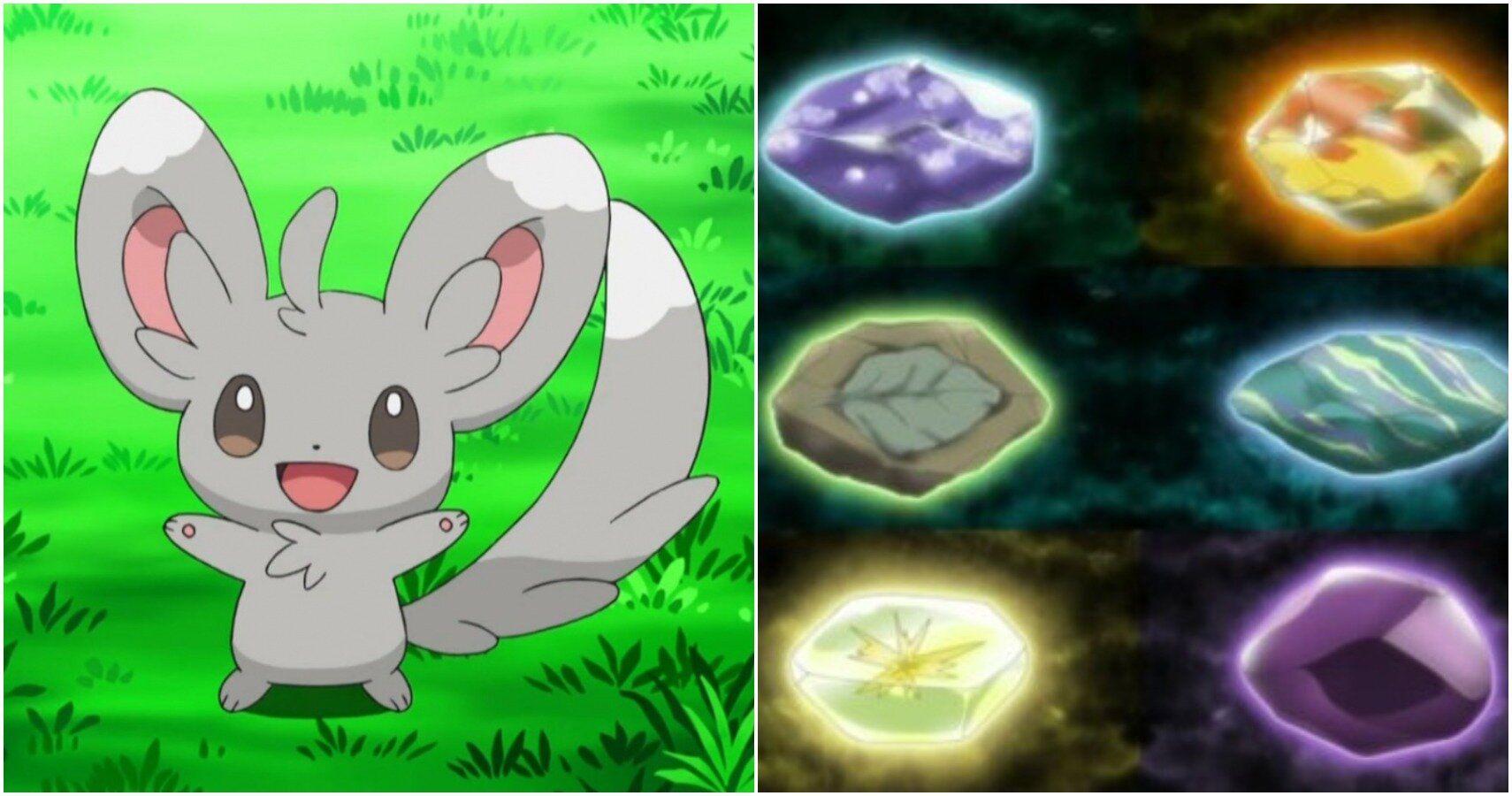 Pokemon stones. Minccino покемон Эволюция. Покемон джиадор камень Эволюция. Шайни Стоун. Шайни покемоны в Pokemon Sword.