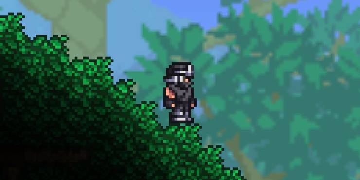 Featured image of post Terraria King Slime Drops