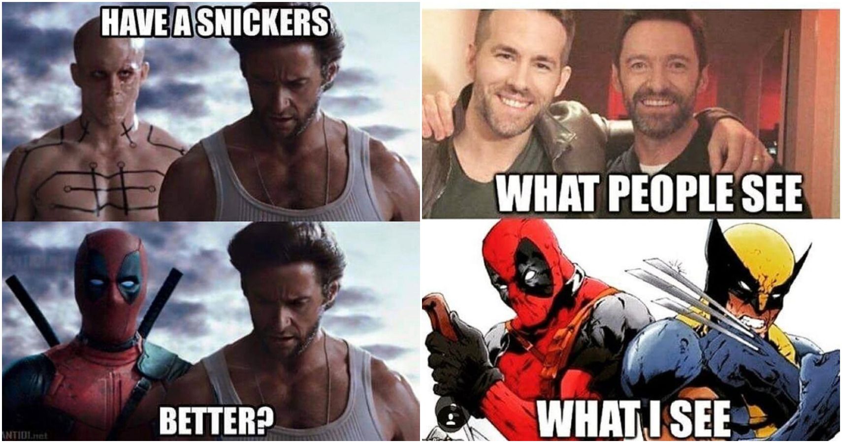 10 Hilarious Memes That Prove A Deadpool & Wolverine Movie ...