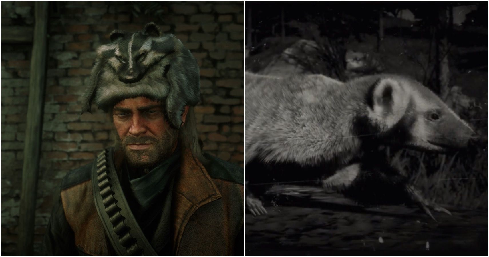 Red Dead Redemption 2 Badger Locations And All You Need To Know About Them