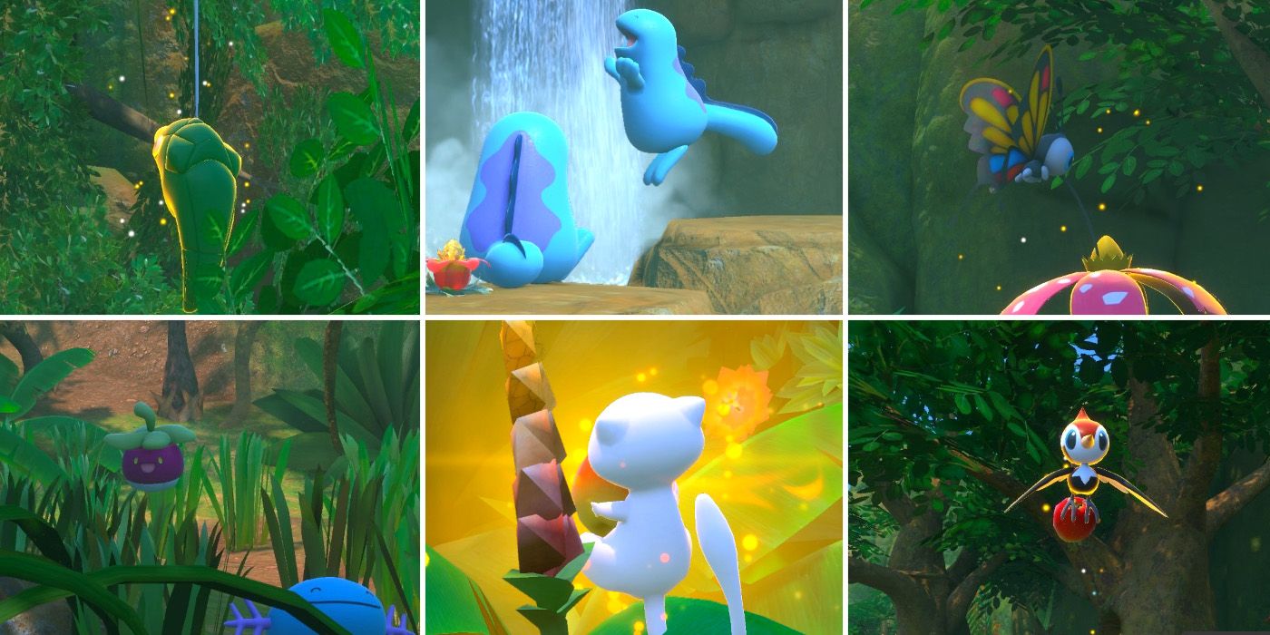 New Pokemon Snap Every Request In Founja Jungle Day How To Complete Them New Pokemon Snap Every Request In Founja Jungle Day How To Complete Them