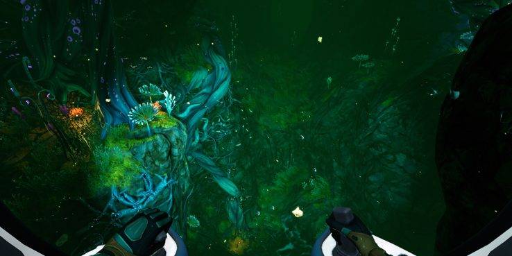subnautica ниже нуля обзор растений