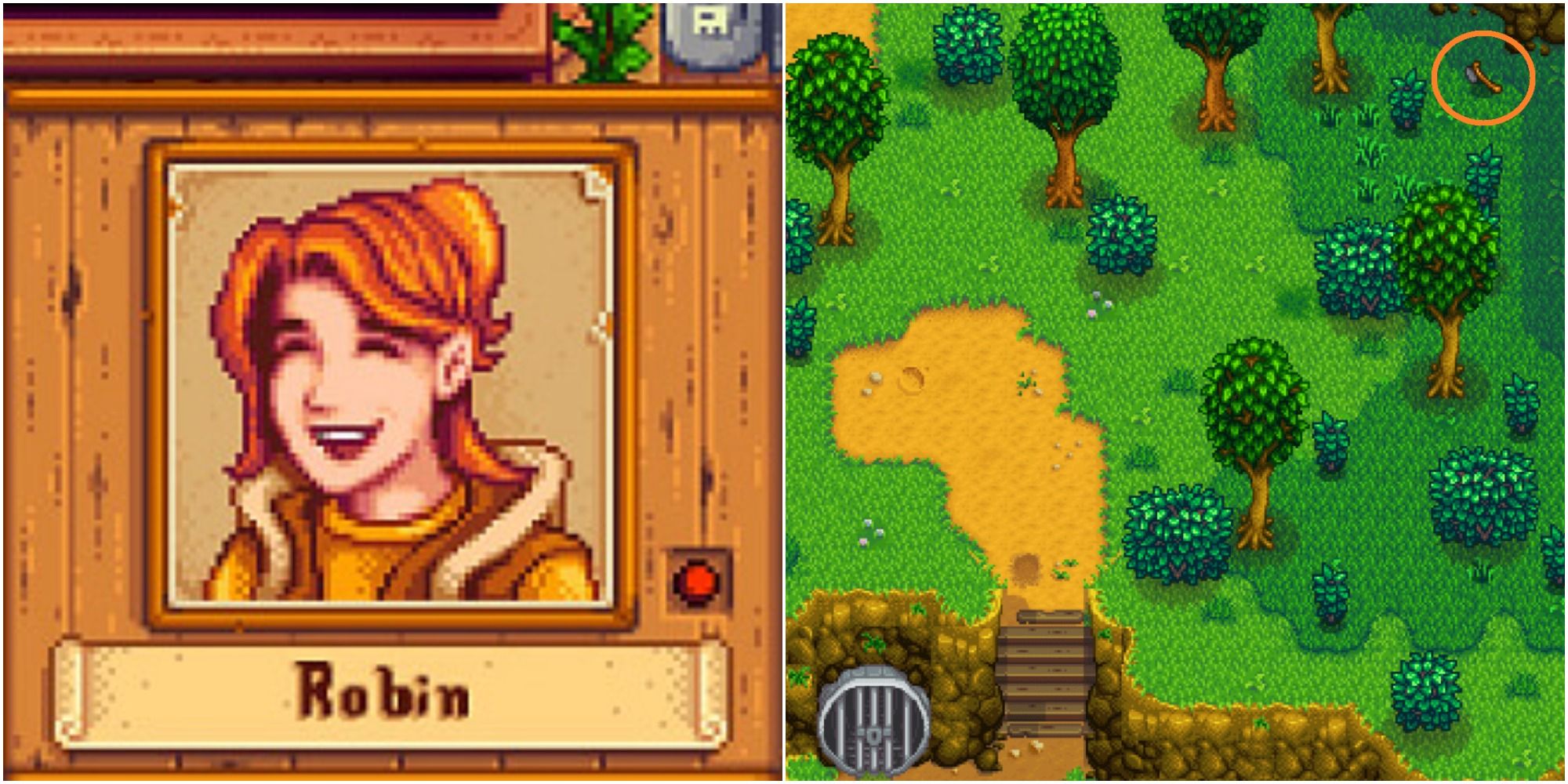 Stardew Valley How To Befriend Robin Game Rant