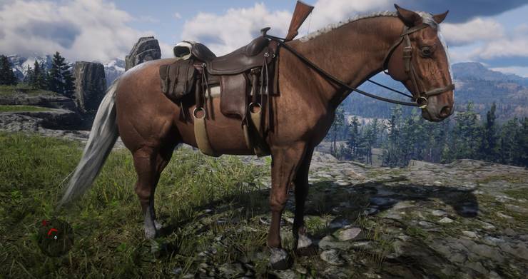 Every Horse In Red Dead Redemption 2 Ranked From Worst To Best
