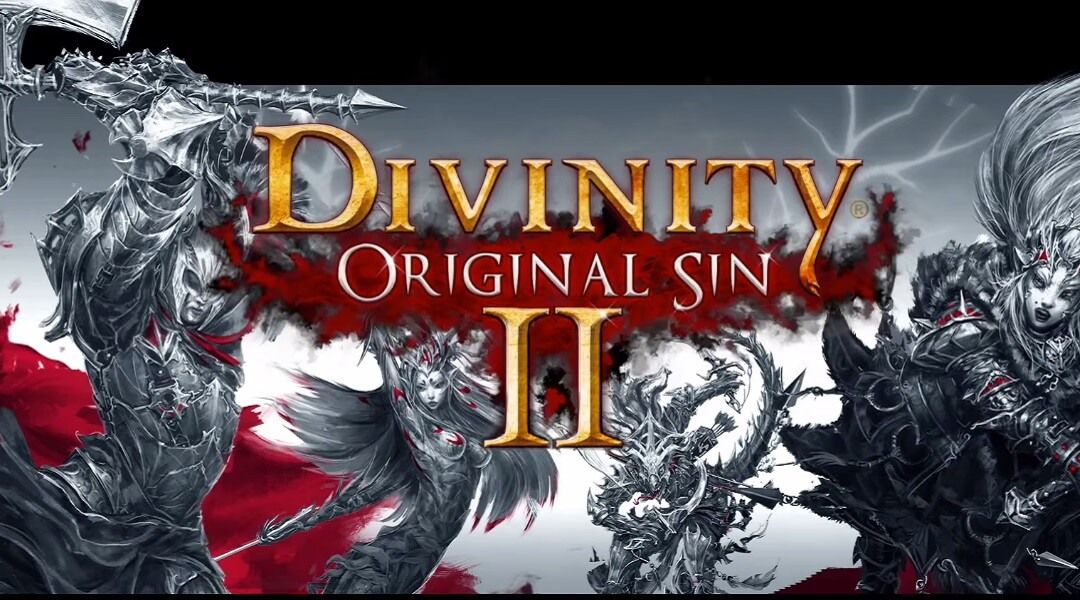 divinity original sin 2 sale